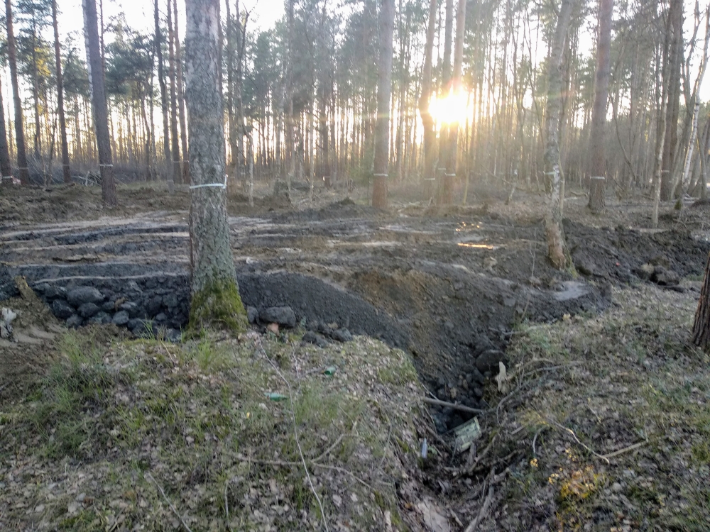В поселке им. Свердлова признали незаконной рубку деревьев фото ЗакС политика В поселке им. Свердлова признали незаконной рубку деревьев