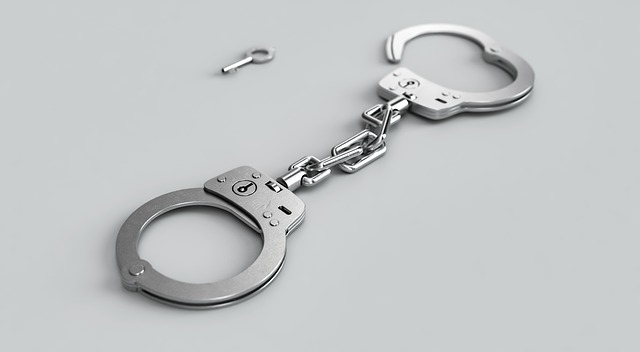 Находящийся под уголовным преследованием Древарх Просветленный покинул Россию фото ЗакС политика Находящийся под уголовным преследованием Древарх Просветленный покинул Россию