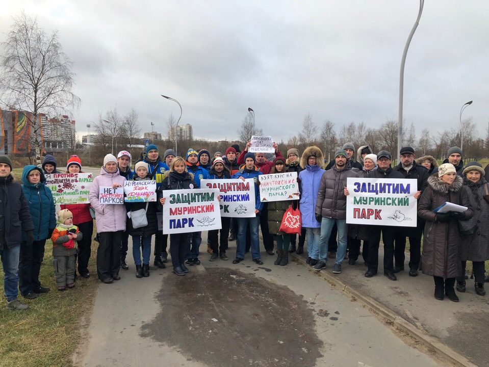 Защитники Муринского парка обратились за помощью к Путину фото ЗакС политика Защитники Муринского парка обратились за помощью к Путину
