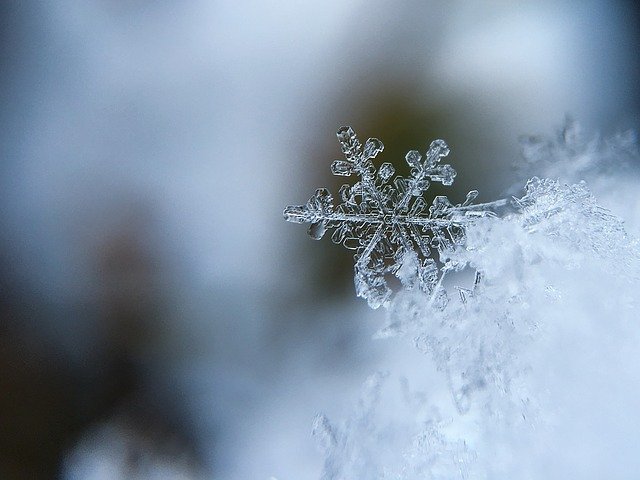 В Ленобласти введут "комендантский час" для подростков на время зимних каникул фото ЗакС политика В Ленобласти введут "комендантский час" для подростков на время зимних каникул
