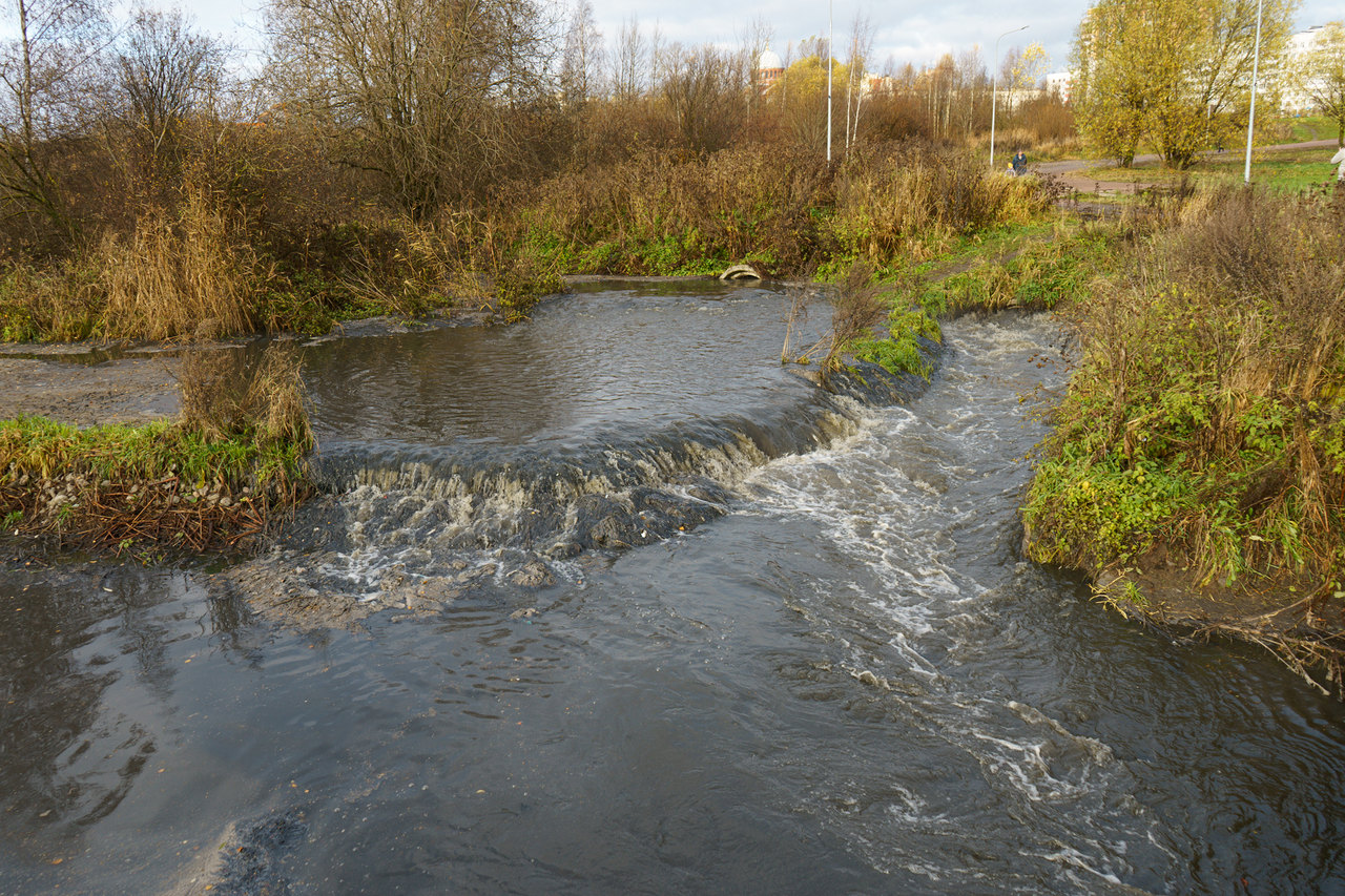 Фото: ЗАКС.Ру