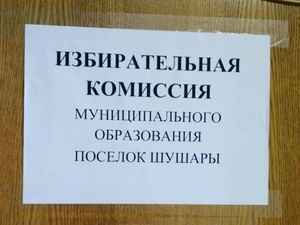 фото ЗакС политика Кандидат от "Единой России" в Шушарах подала иск против ИКМО