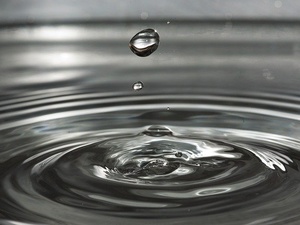 Вода в волге цветет