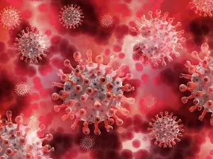 Роспотребнадзор сообщил о росте заболеваемостью коронавирусом за неделю