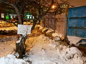 фото ЗакС политика Вишневский потребовал от прокуратуры остановить работы в сквере на Купчинской улице