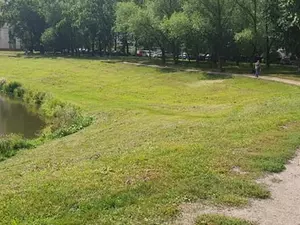 фото ЗакС К середине года на юго-западе Петербурга расчистят дно реки Новая фото ЗакС политика К середине года на юго-западе Петербурга расчистят дно реки Новая