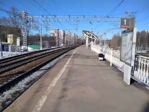 фото ЗакС Под Петербургом электричка насмерть сбила мужчину фото ЗакС политика Под Петербургом электричка насмерть сбила мужчину