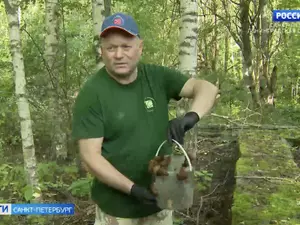 фото ЗакС "Вот такой улов за утро": глава комитета Смольного показал, как ловил слизней фото ЗакС политика "Вот такой улов за утро": глава комитета Смольного показал, как ловил слизней