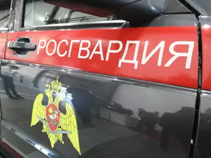 фото ЗакС В Петербурге задержали мужчину по подозрению в оправдании теракта в "Крокусе" фото ЗакС политика В Петербурге задержали мужчину по подозрению в оправдании теракта в "Крокусе"