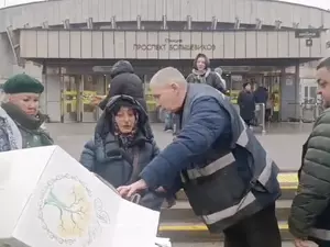 фото ЗакС Цветочные торговцы попытались оказать сопротивление сотрудникам ККИ фото ЗакС политика Цветочные торговцы попытались оказать сопротивление сотрудникам ККИ
