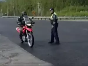   2,5          