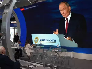      7%   2025  