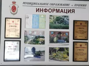 фото ЗакС КСП пришла с проверкой в МО "Город Пушкин" фото ЗакС политика КСП пришла с проверкой в МО "Город Пушкин"