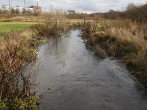 Зинчук призвал Разумишкина разобраться с загрязнением Муринского ручья и Охты