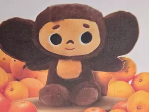 ��� ������� � ������������� ����������� �� �������� ��������� �����������