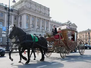 � ���������� ���� ������ ������� ��������� ��������� �� ���������� �����