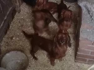 ��������� ��������� ������� ����� �������� � ������������ �� ������ ��������