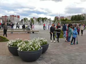 ��� ������� ����� 5 ��� ������ � ��������� �� ���� � ������� � �������