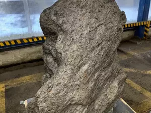 ����������� �� ���� ������� ���������� �������� �� ���������� � ��������