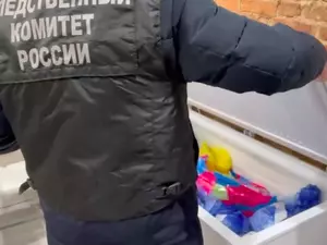 ��������� ������������� �������� �������� ���������������� ����� �����������