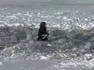 �� ���� ������ ������ �������������� ��� ��� �������