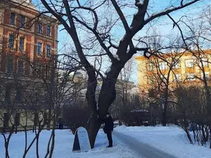 ���������� ���������� ������������ �������� ��� �������� ������� ����