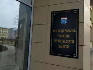 ���� ���������� �� ��������� ������ � �������������� ������� "���������"