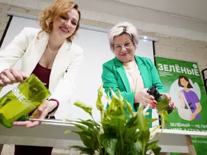 ������� �������� ���� ������� ����