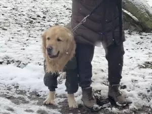 ������ ���������� ����� ���������� ����������� ����� ������ �����