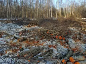 ��������� � ����������� �������