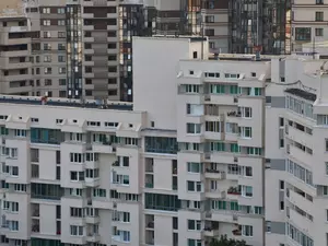 В 2025 году Ленобласть лидировала по вводу нового жилья