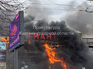 � ������������ ����� �������� ����� "�����"