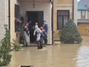 �� ���������� � �������� �������� ���������