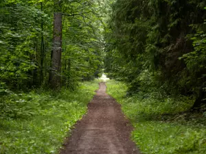 �������� ���������� � ������������ ����� ��������� �� ����� ����������