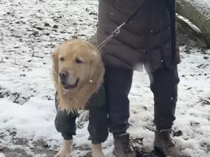 � ������������ ������ ���������� ���������� ����� � �������� ������� ��������