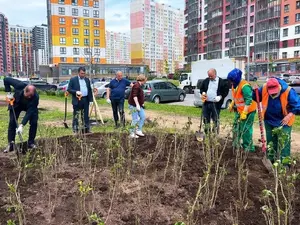 В Приморском районе погибла посаженная вице-спикером ЗакСа Бондаренко сирень