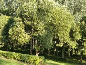 Более 50 общественных пространств появятся до конца года в Петербурге