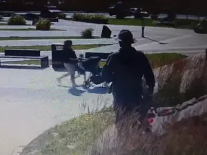 В Сосновом Бору повредили памятник воинам локальных конфликтов