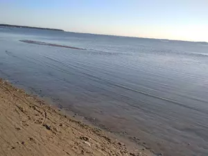 Два пляжа в Курортном районе Петербурга откроют после благоустройства