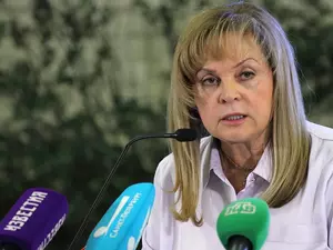 "Не ленитесь": Памфилова призвала партии отправить наблюдателей на выборы
