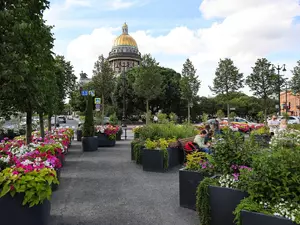 Смольный пересадит деревья из садов-трансформеров в центр Петербурга