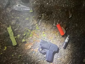 В Курортном районе Росгвардия задержала вооруженных граждан на заброшенном объекте